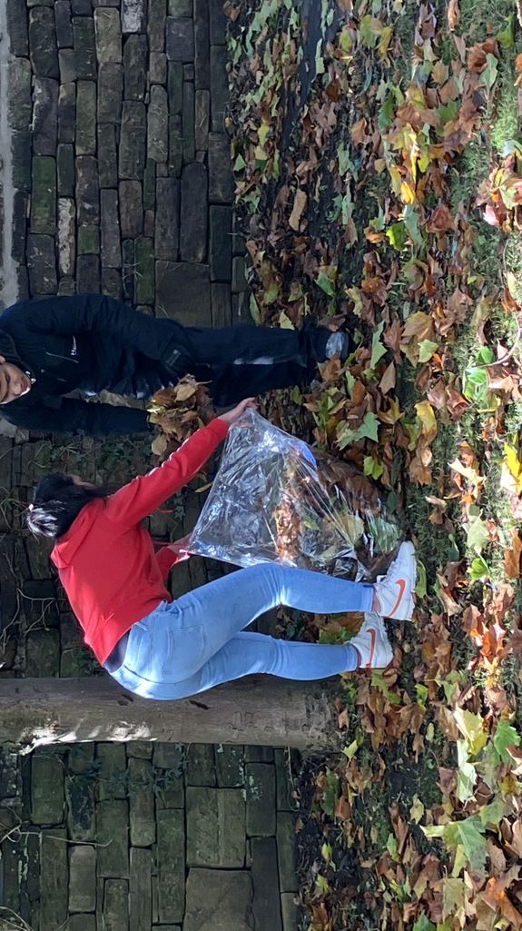 Two people clearing up leaves from the floor with a stone wall behind and a tree next to them